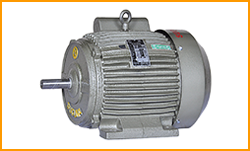 Electric Motor Suguna Pumps Motors